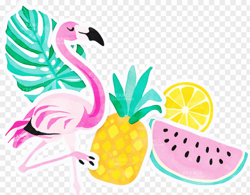 Plant Pink Flamingo Drawing PNG