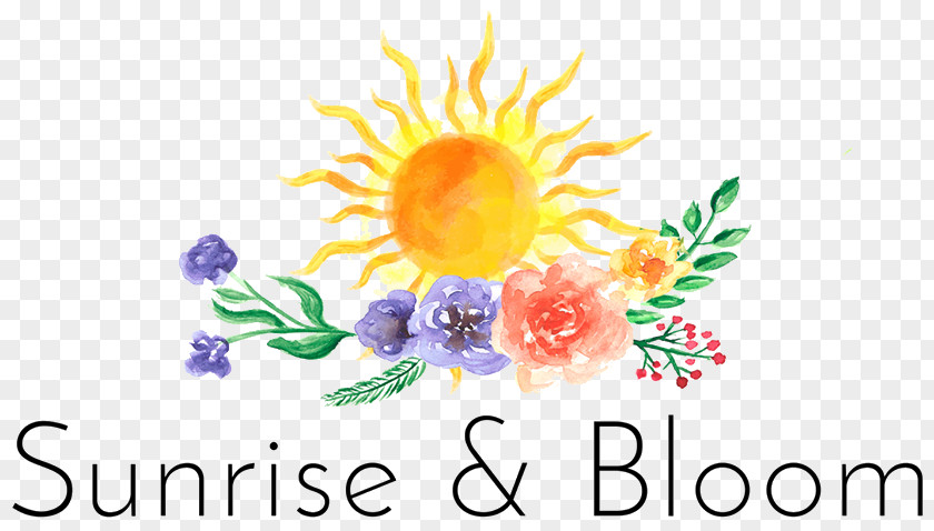 Sun Rise Floral Design Cut Flowers Chrysanthemum Graphic Desktop Wallpaper PNG