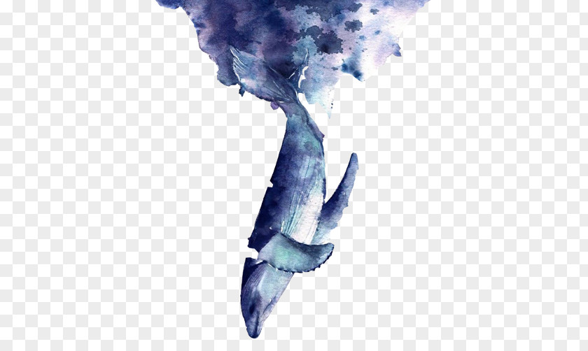 Whale Inverted Creative Painting Image Blue Euclidean Vector PNG
