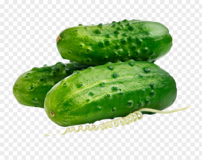 Cucumber Pickled Seed Parthenocarpy Auglis PNG