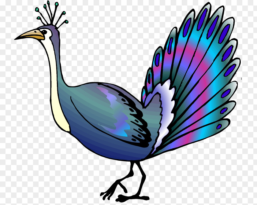 Peafowl Bird Asiatic Animation Clip Art PNG