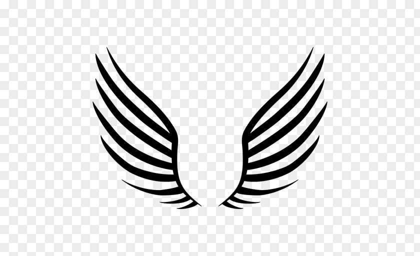 Wing Vector Drawing Line Art Clip PNG