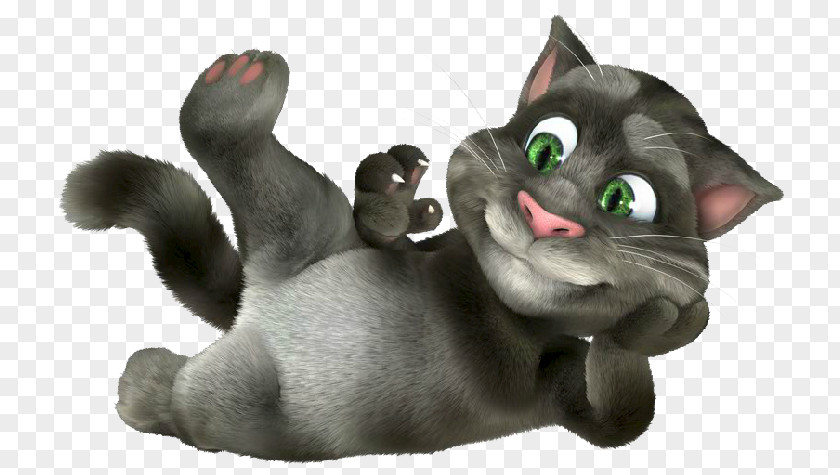 Cat My Talking Tom And Friends Angela Quotation PNG