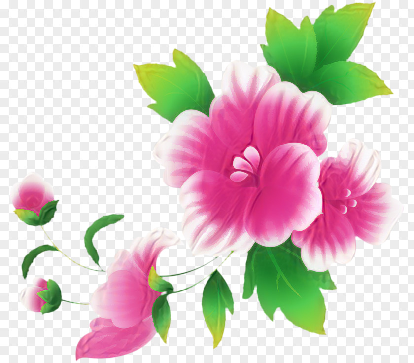 Clip Art Openclipart Pink Flowers Free Content PNG