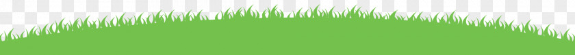 Fantasy World Desktop Wallpaper Grasses Leaf Computer Plant Stem PNG