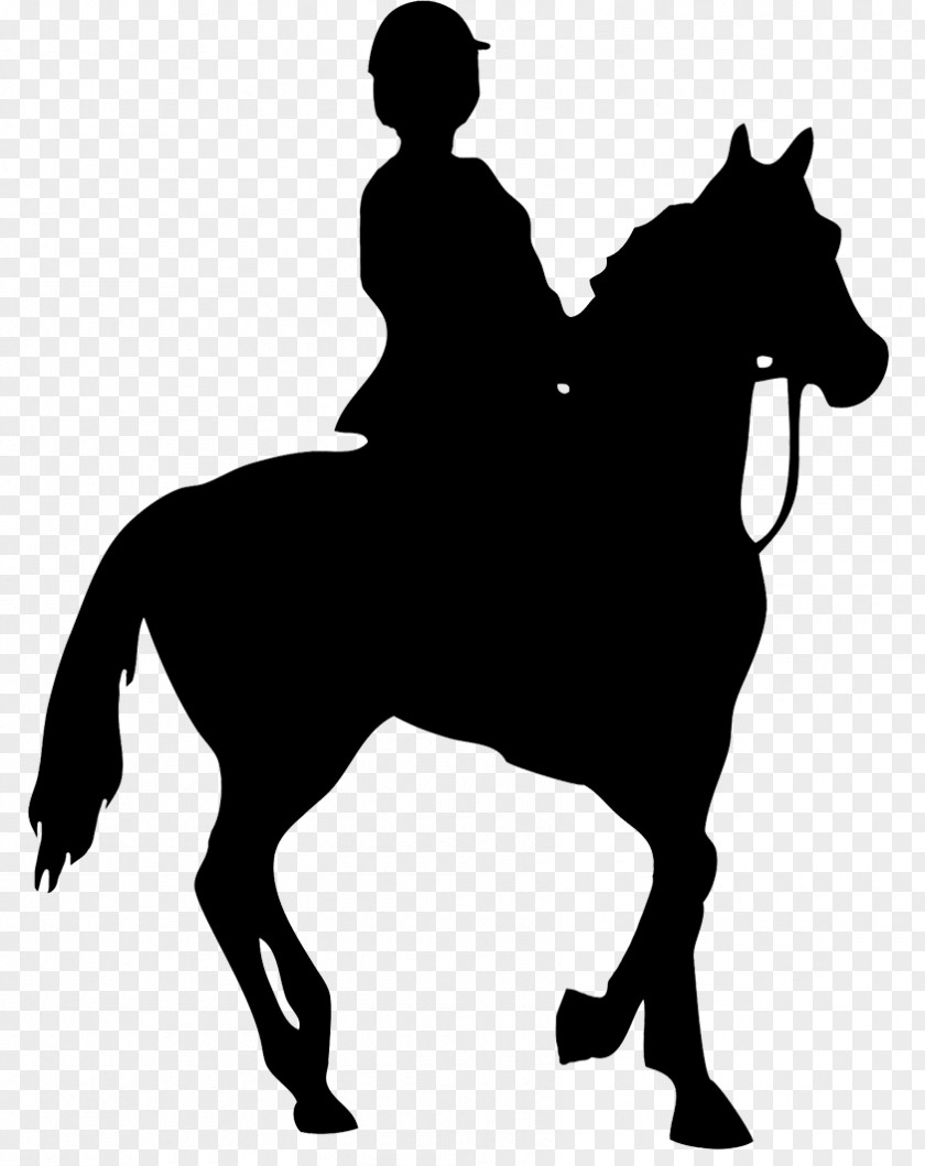 Horse Horse&Rider Equestrian Silhouette Clip Art PNG