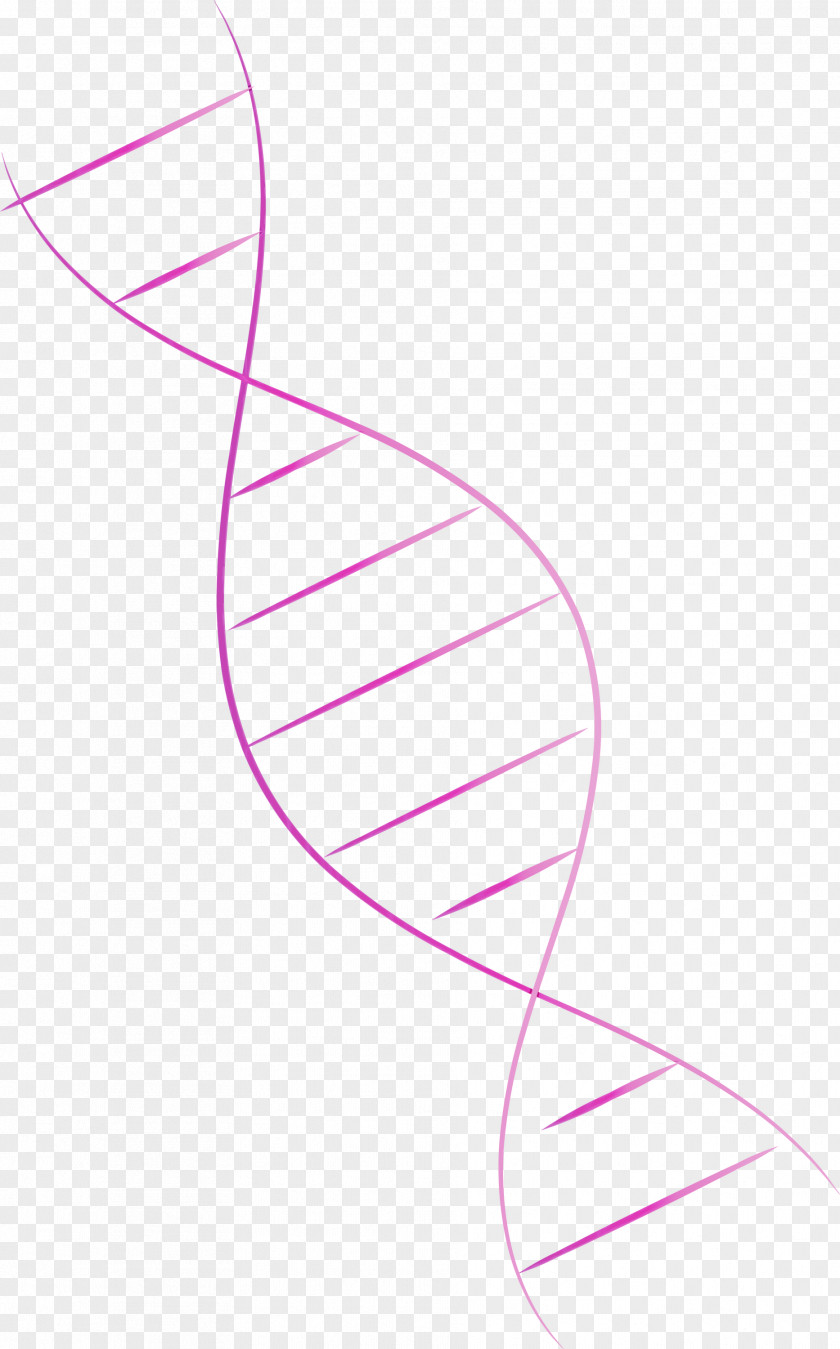 Leaf Angle Line Pattern Pink M PNG