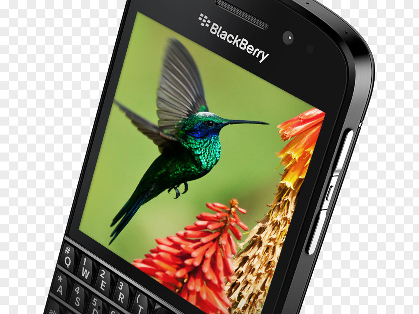 Smartphone BlackBerry Q10 Z10 Leap Curve PNG