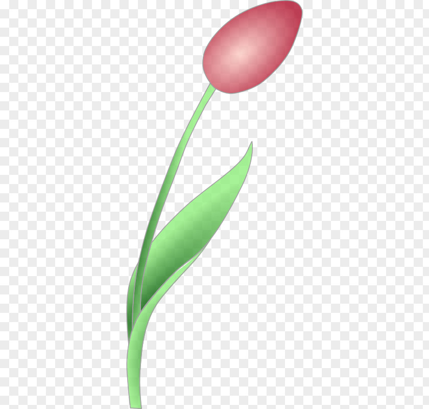 Tulip Image Flower Clip Art PNG