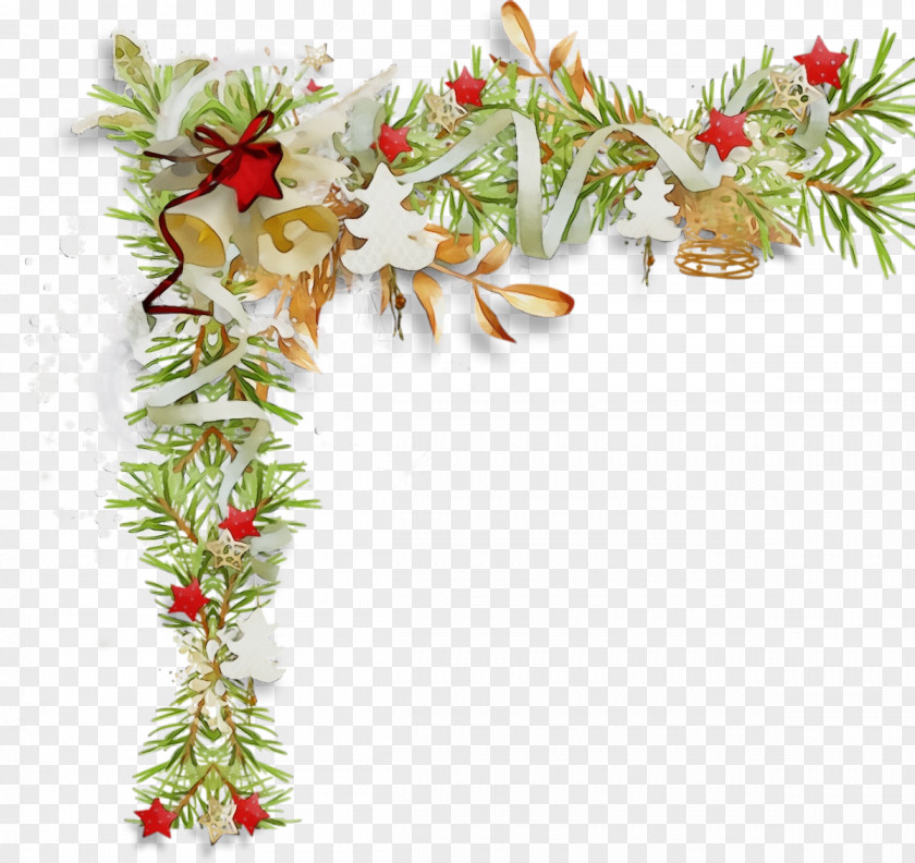 Twig Fir Holly PNG