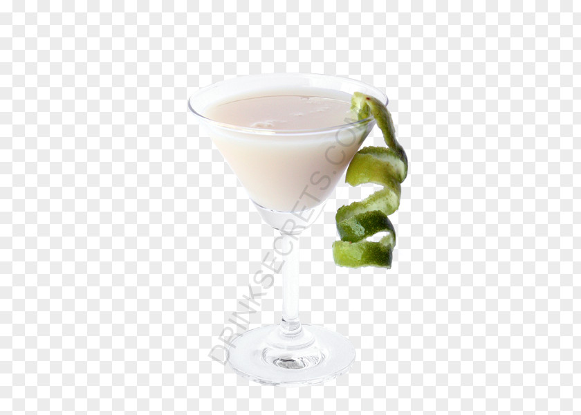 A Mixture Of Juices Cocktail Garnish Bacardi Daiquiri Martini PNG