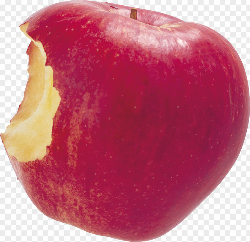 Apple 健康生活的377個禁忌:健康養生, 最重要的還是遠離生活禁忌 Accessory Fruit Clip Art PNG