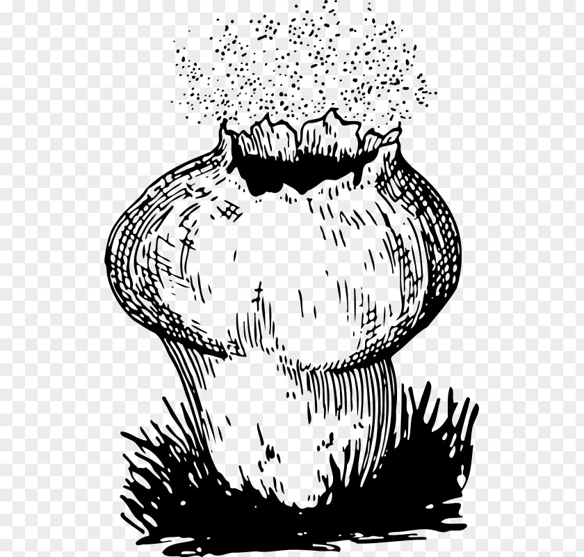 Fungi Fungus Spore Mushroom Puffball Reproduction PNG