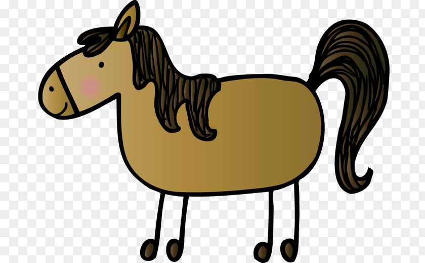 Horse Pony Word Wall Vocabulary PNG