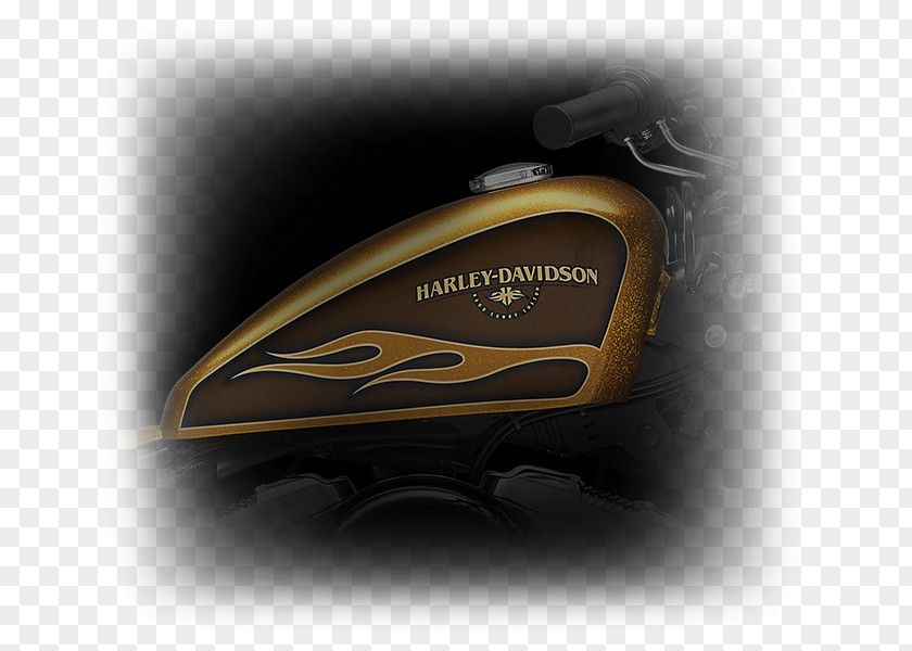 Motorcycle Harley-Davidson Sportster Custom Painting PNG