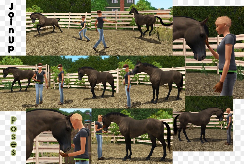 Mustang MySims The Sims 3 Mare Foal PNG
