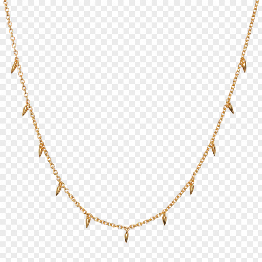 Necklace Silver Chain Charms & Pendants Jewellery PNG