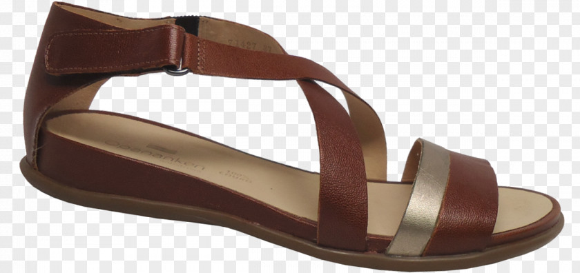 Sandal Slide Shoe PNG