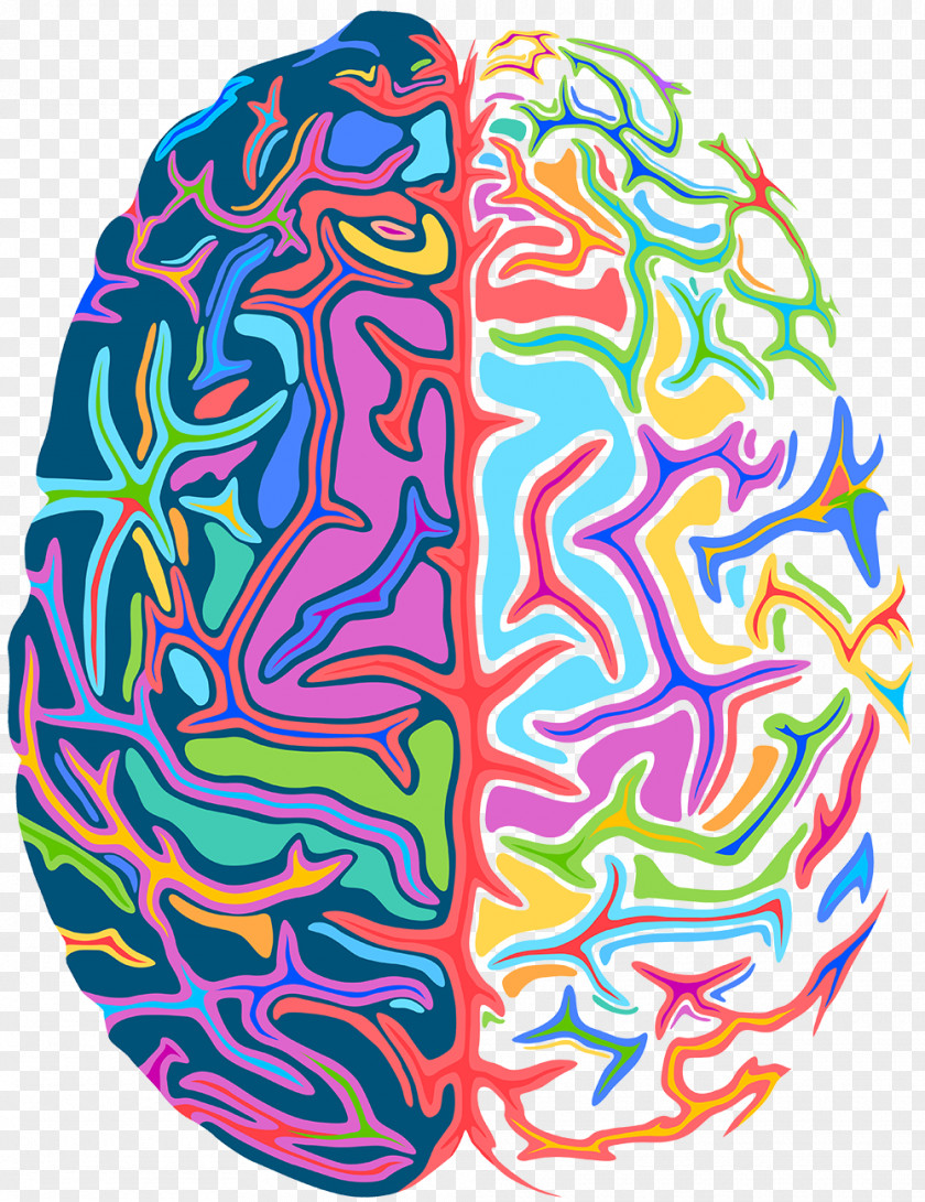 Brain Psychedelia Psychedelic Drug Ross Rogen Wishful Thinking PNG