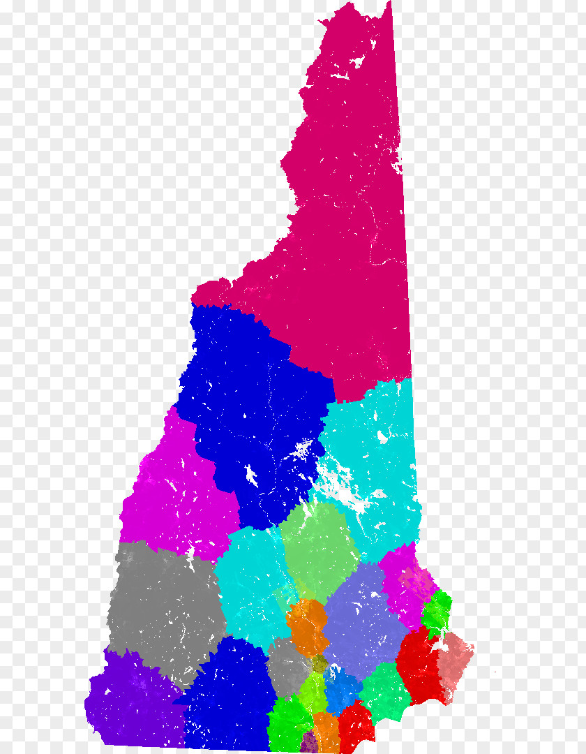 New Hampshire Senate Hampshire's 4th State District Electoral Congressional Legislature PNG