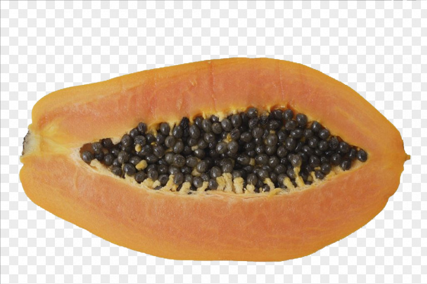 Papaya Fruit Icon PNG