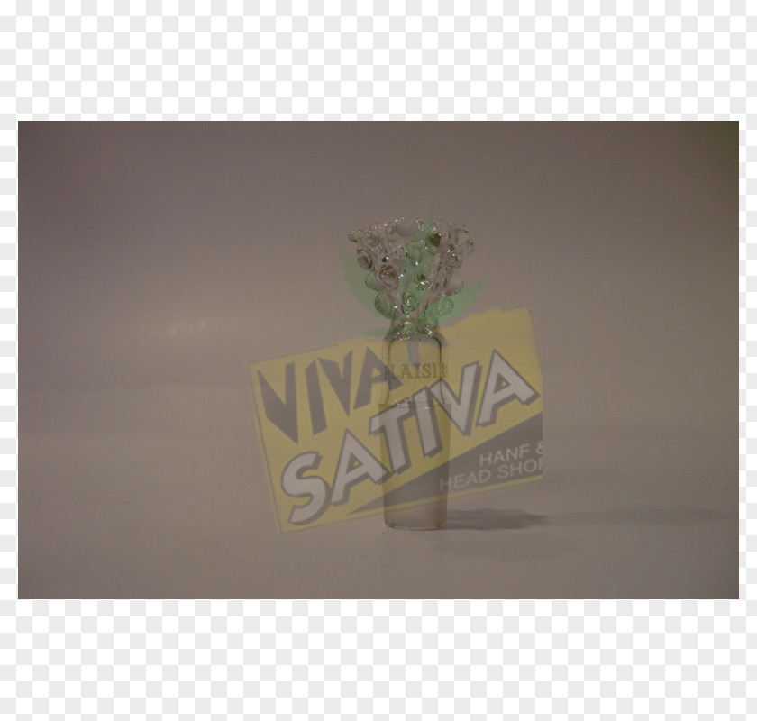 Sativa Green Rectangle Brand Font PNG