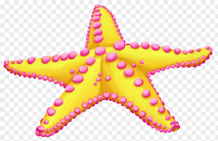 Starfish Clip Art Sea Image PNG