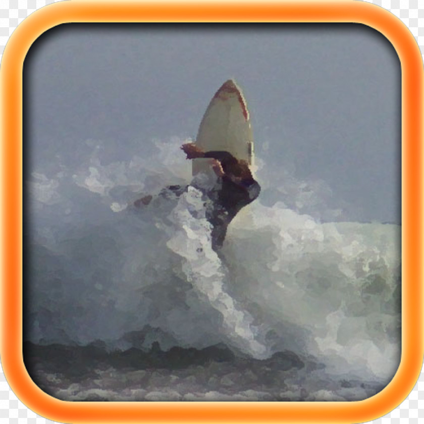 Surf Boardsport Surfboard Surfing Extreme Sport PNG
