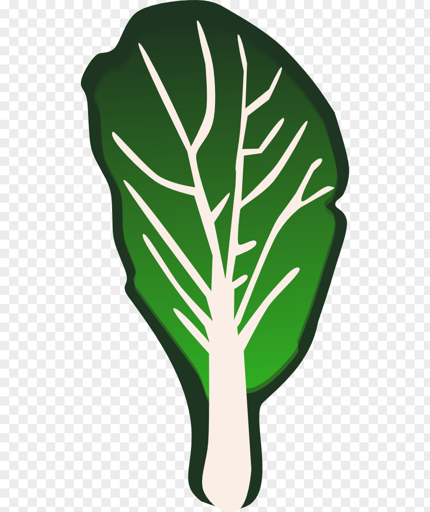 Vegetables Images Daikon Vegetable Eggplant Carrot Clip Art PNG