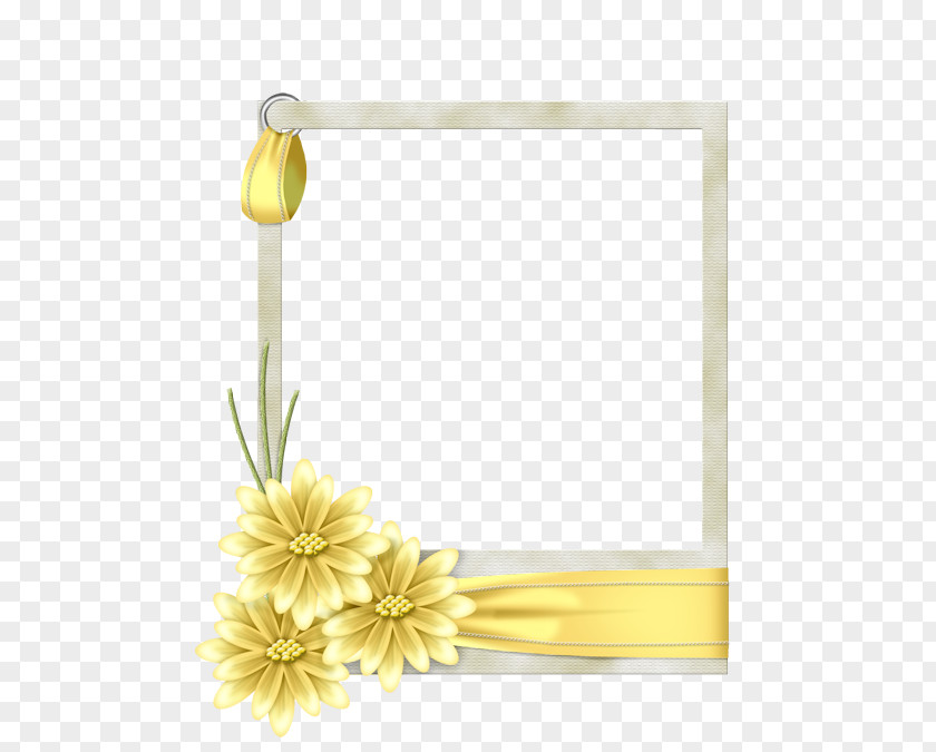 Box Picture Frames Window White Flower PNG