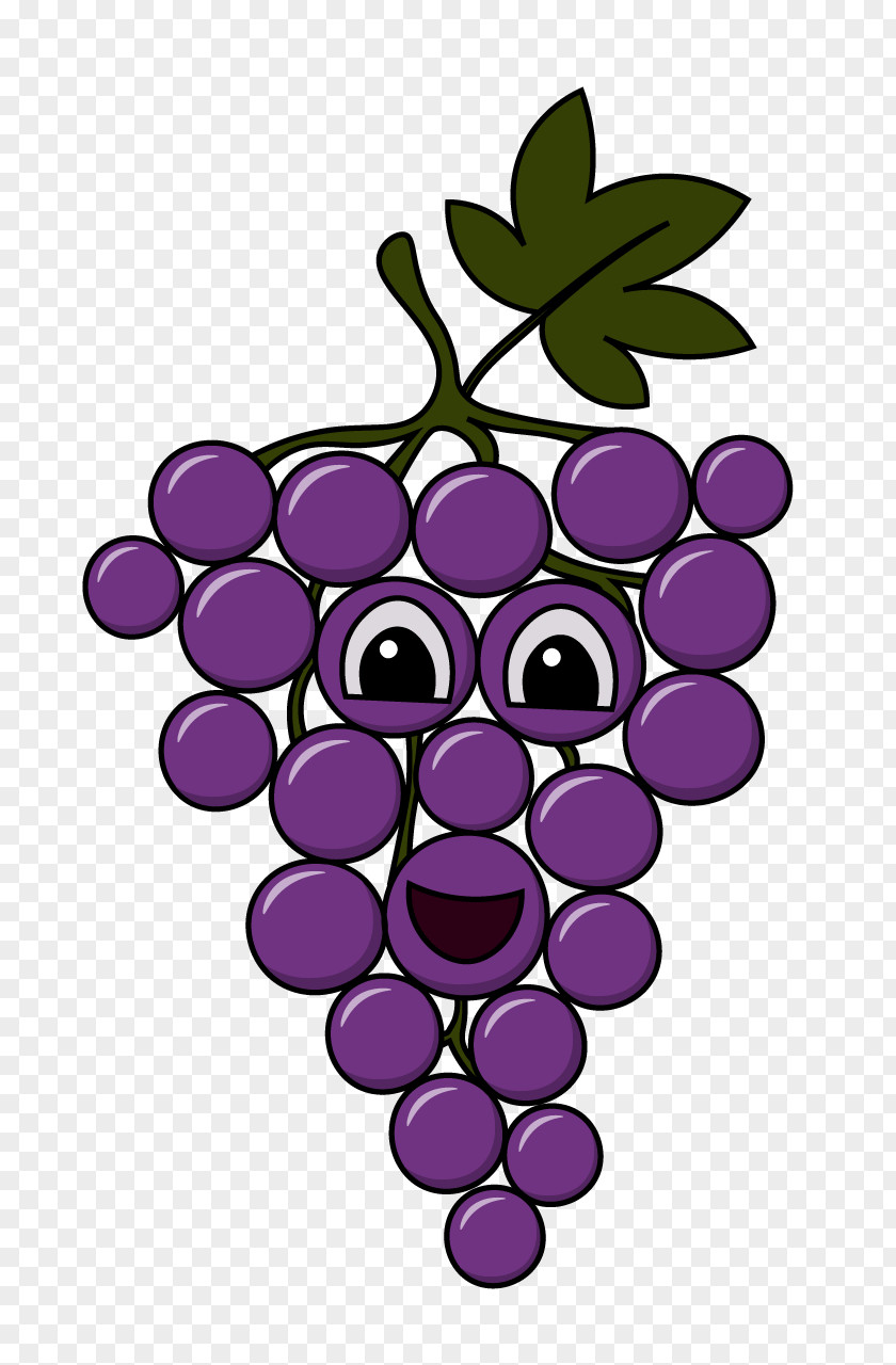 Grape Common Vine Clip Art Drawing Fruit PNG