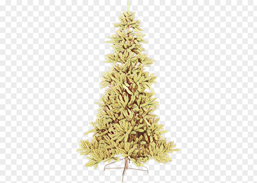 Pine American Larch Christmas Tree PNG