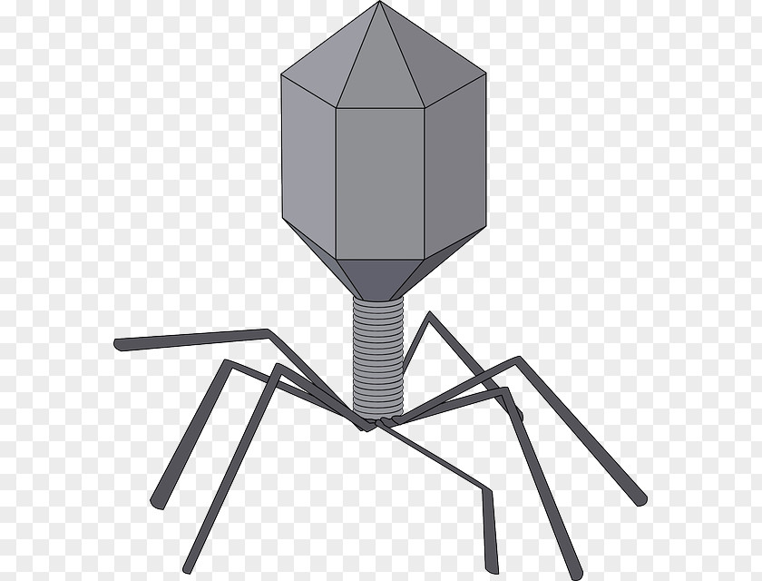 Red Allogeneic Virus Cell Viral Vector Bacteriophage Clip Art PNG