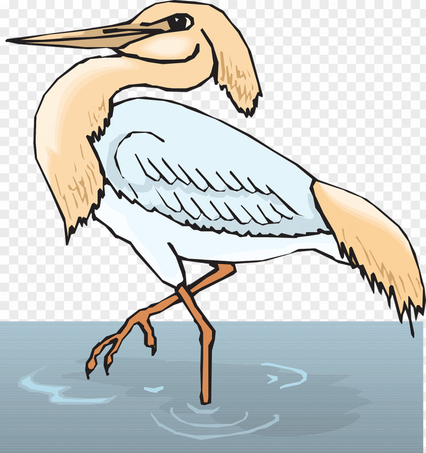 Stork Bird Crane Great Blue Heron Clip Art PNG