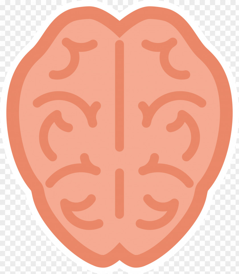 Brain Human Clip Art PNG