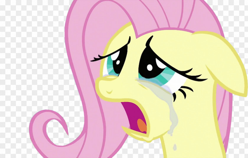 Crying Vector Rarity Fluttershy Pinkie Pie Twilight Sparkle Rainbow Dash PNG