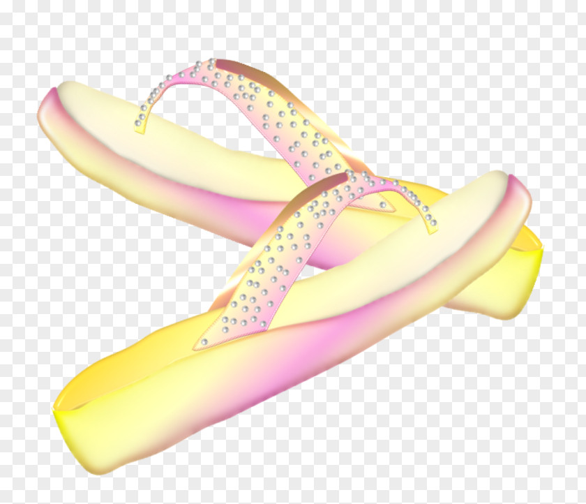 Flip Flops Centerblog PNG