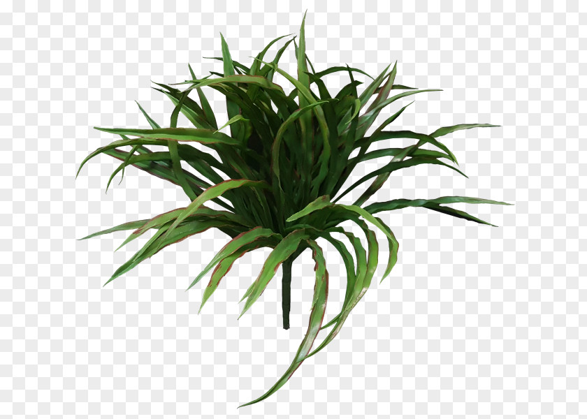 Green Faux Berry Branch Grasses Shrub Sweet Grass Leaf Flowerpot PNG