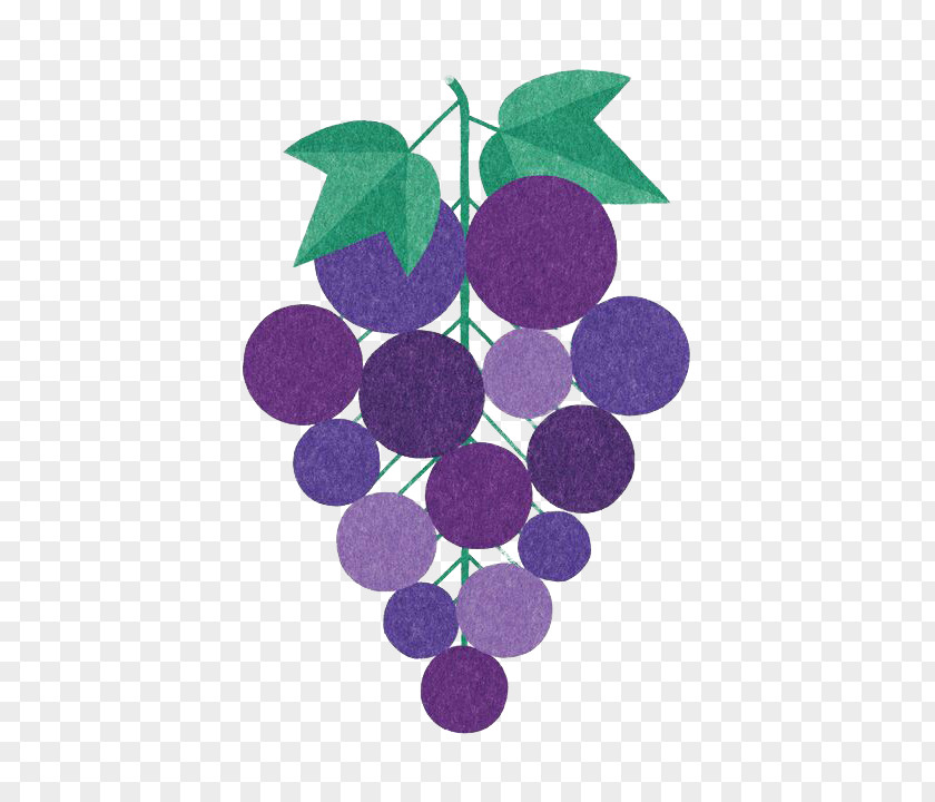 Hand-painted Grapes Common Grape Vine Vitis Californica Wine Illustration PNG