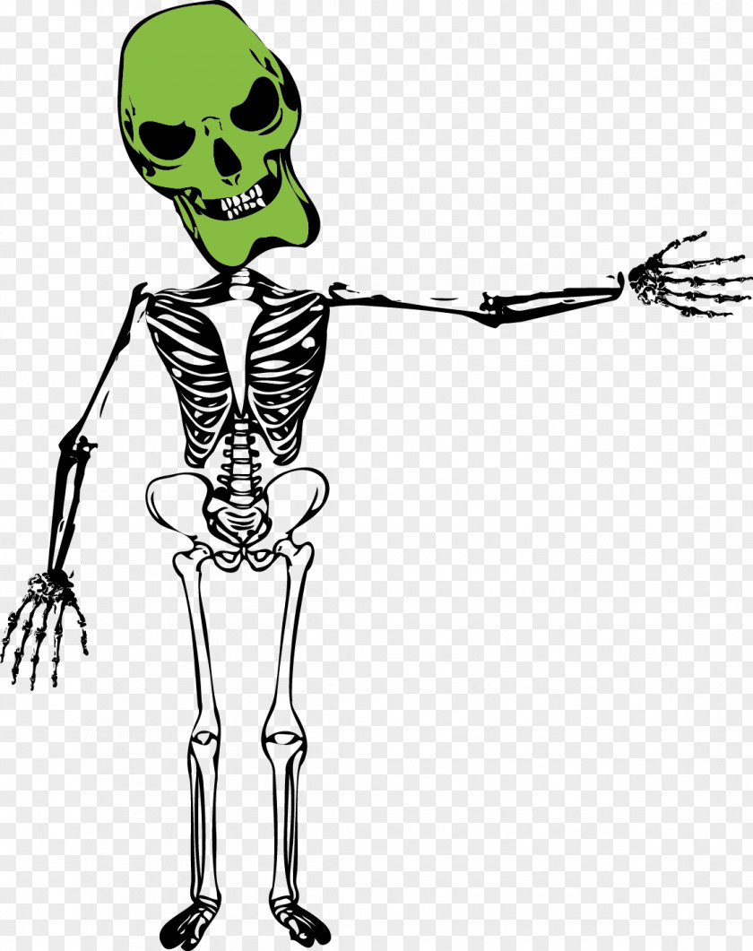 Skull Bone Skeleton Homo Sapiens U9ab7u9ac5 PNG