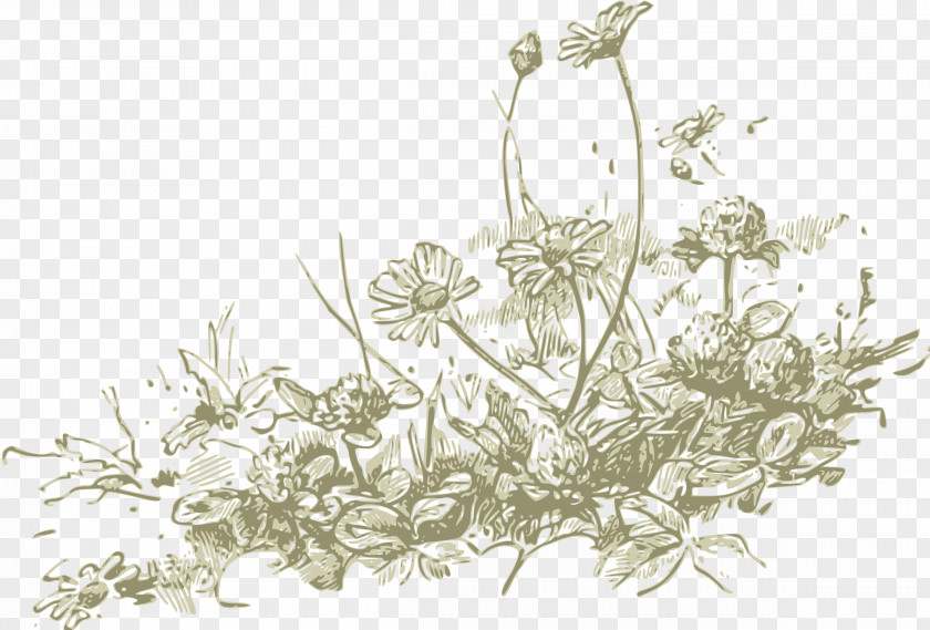 Watercolor Plants Wildflower Clip Art PNG