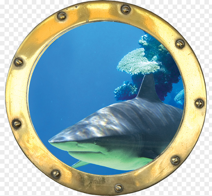 3d Affixed Mural Sticker Porthole Wall Decal Trompe-l'œil Décoration PNG