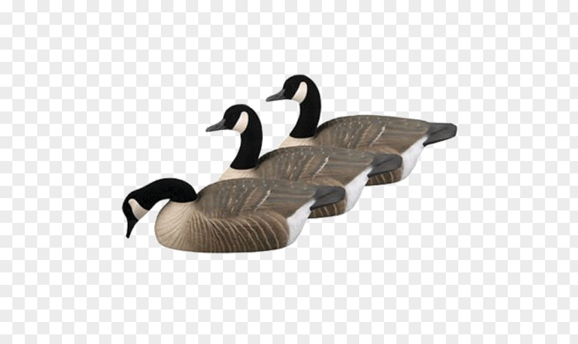 Duck Canada Goose Mallard Decoy PNG