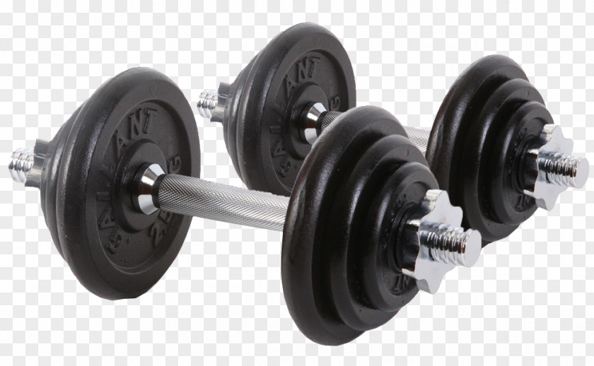 Dumbbell Exercise Equipment Bench Barbell Weight Training PNG