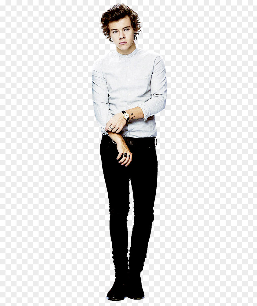 Harry Styles One Direction PNG