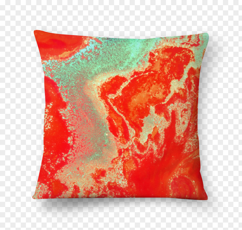 Pillow Throw Pillows Cushion Canvas Print Art PNG