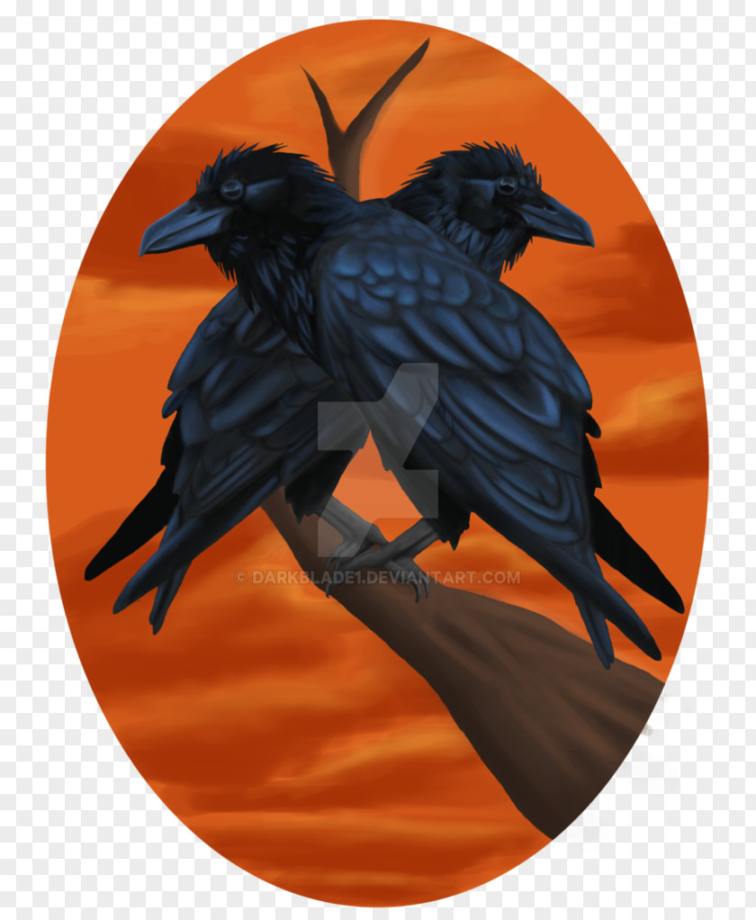 Beak Common Raven PNG