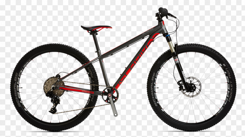 Bicycle Islabikes GT Bicycles Mountain Bike Cross-country Cycling PNG