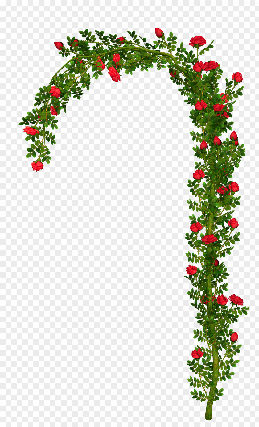 Bushes Arch Flower Clip Art PNG