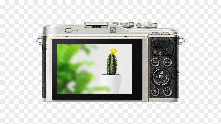 Camera Olympus PEN E-PL9 Mirrorless Interchangeable-lens Photography E-PL8 PNG